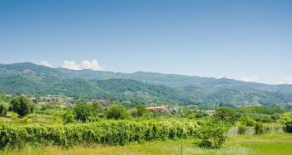 描繪新時(shí)代美麗中國(guó)生動(dòng)畫(huà)卷&mdash;&mdash;習(xí)近平總書(shū)記在全國(guó)生態(tài)環(huán)境保護(hù)大會(huì)上的重要講話引發(fā)熱烈反響